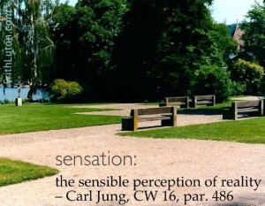 Quote from Carl Jung: Sensation: the sensible perception of reality.