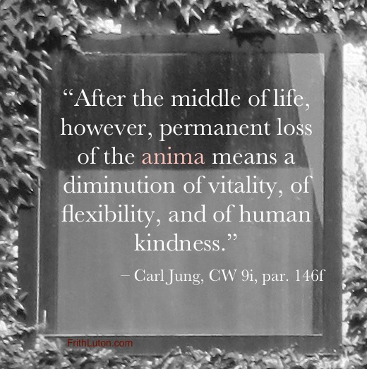 anima 에 대한 Carl Jung 의 인용문: "그러나 삶의 중간 이후,애니 마의 영구적 인 손실은 활력,유연성 및 인간 친절의 감소를 의미합니다.""After the middle of life, however, permanent loss of the anima means a diminution of vitality, of flexibility, and of human kindness."